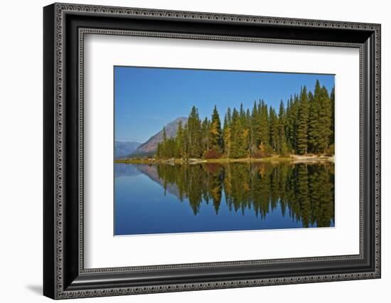 Autumn reflections, Lake Wenatchee, Wenatchee National Forest, Washington State, USA-Michel Hersen-Framed Photographic Print