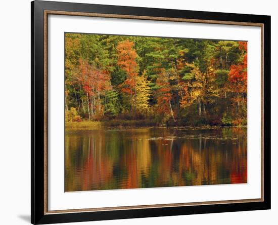 Autumn Reflections, Trickey Pond, Naples, Maine, USA-Michel Hersen-Framed Photographic Print