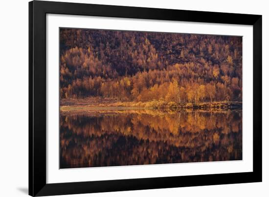 Autumn Reflections-Staffan Widstrand-Framed Giclee Print