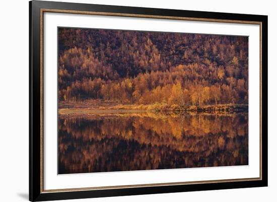 Autumn Reflections-Staffan Widstrand-Framed Giclee Print