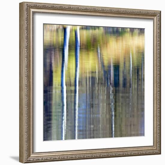 Autumn Reflections-Doug Chinnery-Framed Photographic Print