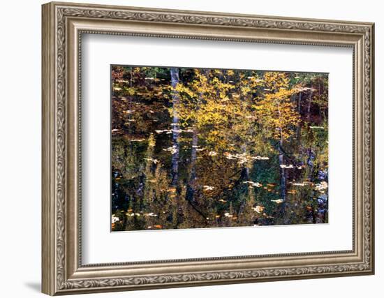 Autumn Reflections-Doug Chinnery-Framed Photographic Print