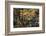 Autumn Reflections-Doug Chinnery-Framed Photographic Print