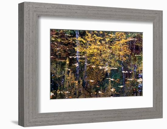 Autumn Reflections-Doug Chinnery-Framed Photographic Print