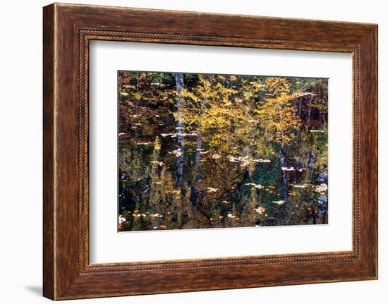 Autumn Reflections-Doug Chinnery-Framed Photographic Print