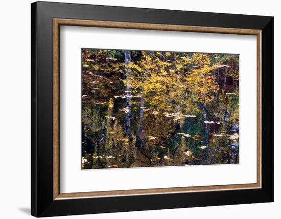 Autumn Reflections-Doug Chinnery-Framed Photographic Print