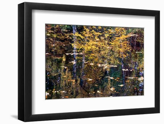 Autumn Reflections-Doug Chinnery-Framed Photographic Print