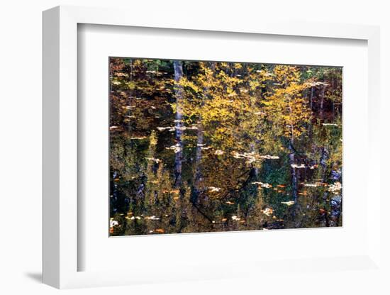 Autumn Reflections-Doug Chinnery-Framed Photographic Print