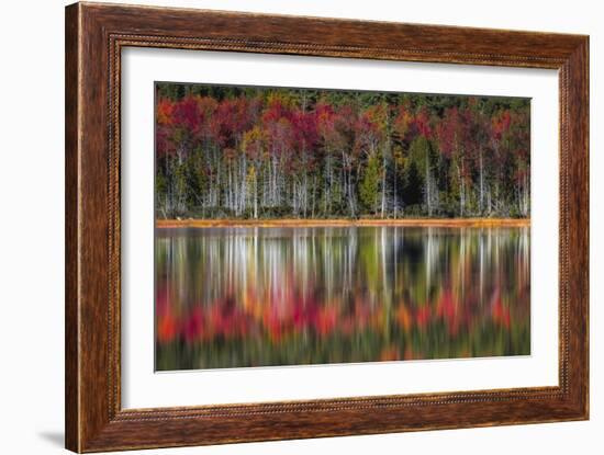 Autumn Reflections-Danny Head-Framed Premium Giclee Print