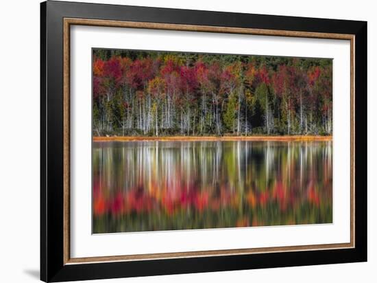 Autumn Reflections-Danny Head-Framed Premium Giclee Print