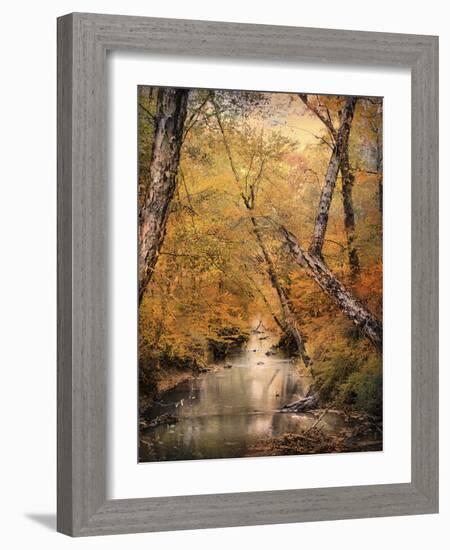 Autumn Riches 1-Jai Johnson-Framed Photographic Print