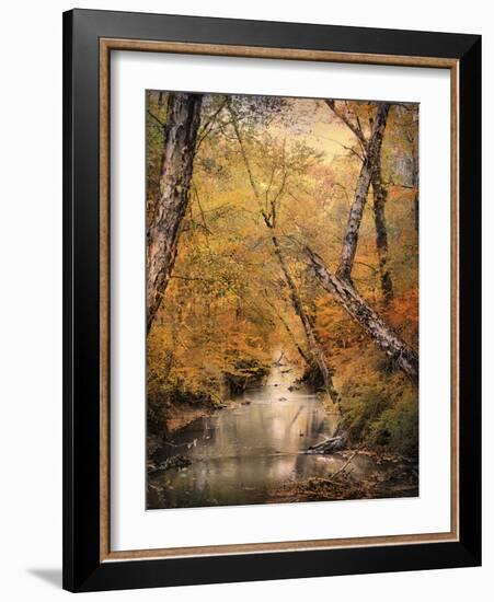 Autumn Riches 1-Jai Johnson-Framed Photographic Print