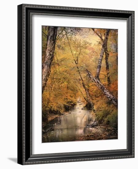 Autumn Riches 1-Jai Johnson-Framed Photographic Print