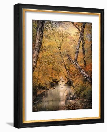 Autumn Riches 1-Jai Johnson-Framed Photographic Print