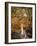 Autumn Riches 2-Jai Johnson-Framed Photographic Print