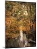 Autumn Riches 2-Jai Johnson-Mounted Photographic Print