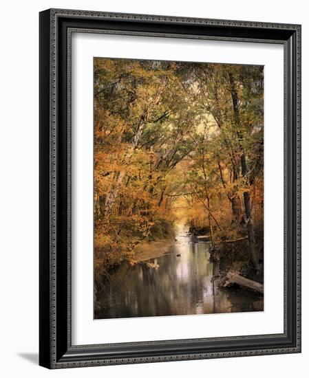 Autumn Riches 2-Jai Johnson-Framed Photographic Print