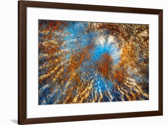 Autumn Riot-Ursula Abresch-Framed Photographic Print