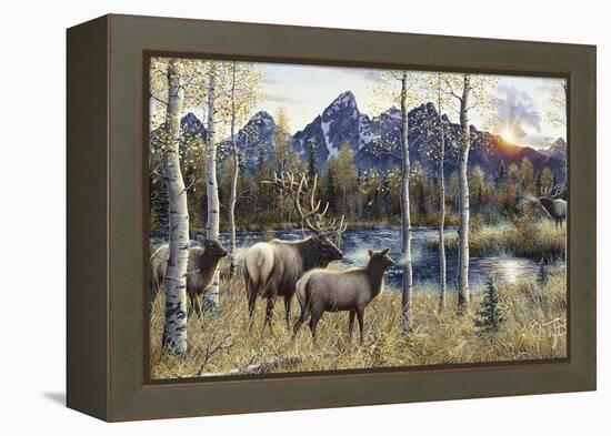 Autumn Rival-Jeff Tift-Framed Premier Image Canvas