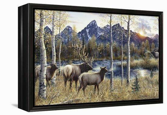 Autumn Rival-Jeff Tift-Framed Premier Image Canvas