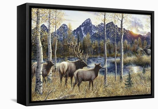 Autumn Rival-Jeff Tift-Framed Premier Image Canvas