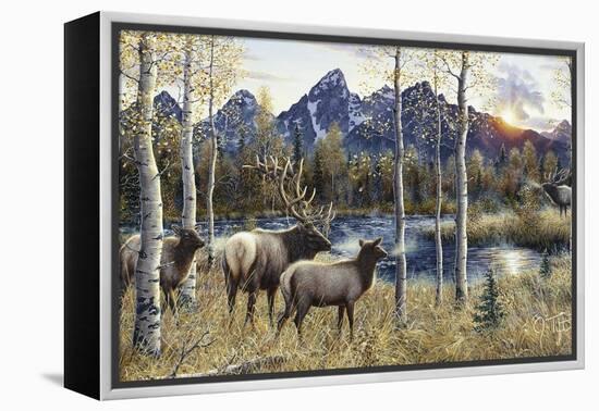 Autumn Rival-Jeff Tift-Framed Premier Image Canvas