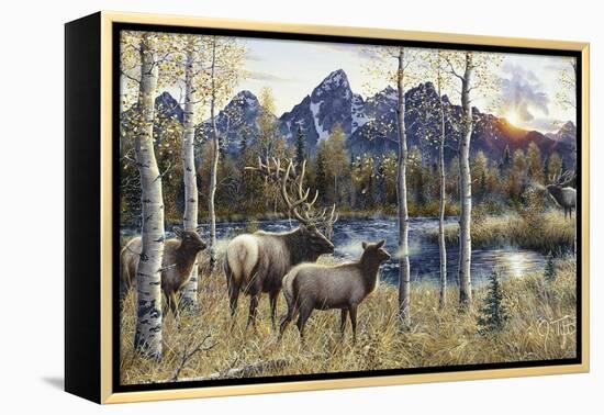 Autumn Rival-Jeff Tift-Framed Premier Image Canvas