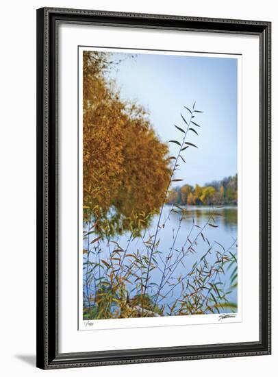 Autumn River 2-Donald Satterlee-Framed Giclee Print