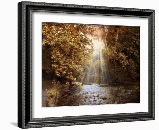 Autumn River Light-Jessica Jenney-Framed Giclee Print