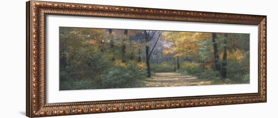 Autumn Road Panel-Diane Romanello-Framed Art Print