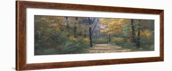 Autumn Road Panel-Diane Romanello-Framed Art Print