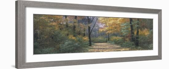 Autumn Road Panel-Diane Romanello-Framed Art Print