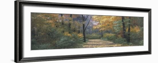 Autumn Road Panel-Diane Romanello-Framed Art Print