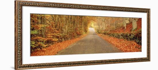 Autumn Road Scotland-null-Framed Photographic Print