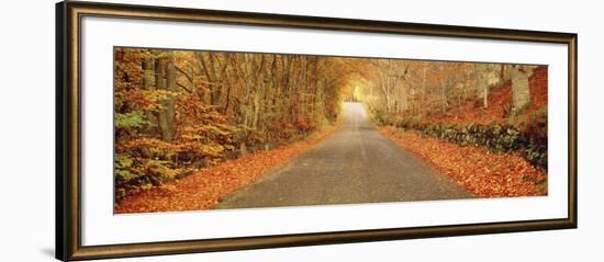 Autumn Road Scotland-null-Framed Photographic Print