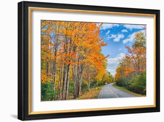 Autumn Road Through Acadia National Park, Fall Foilage New England-Vincent James-Framed Photographic Print