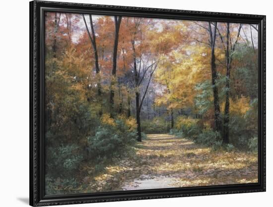 Autumn Road-Diane Romanello-Framed Art Print