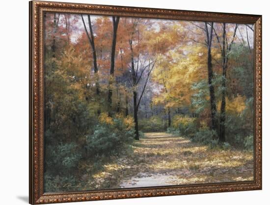 Autumn Road-Diane Romanello-Framed Art Print