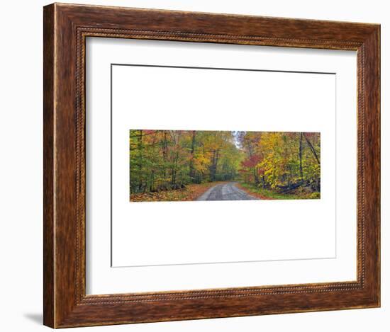 Autumn Road-Doug Cavanah-Framed Art Print