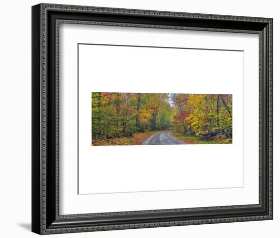 Autumn Road-Doug Cavanah-Framed Art Print