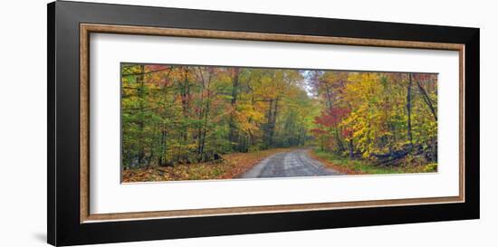 Autumn Road-Doug Cavanah-Framed Art Print