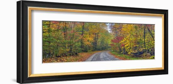 Autumn Road-Doug Cavanah-Framed Art Print