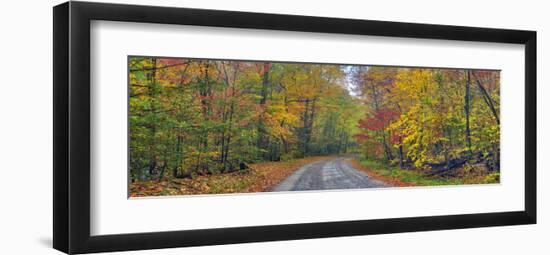 Autumn Road-Doug Cavanah-Framed Art Print