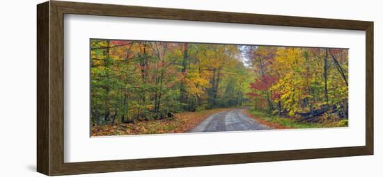 Autumn Road-Doug Cavanah-Framed Art Print