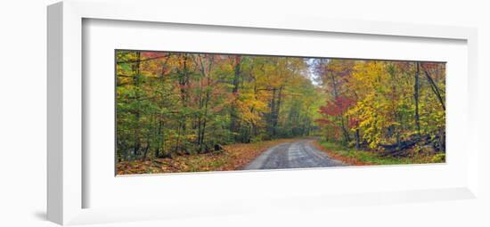 Autumn Road-Doug Cavanah-Framed Art Print