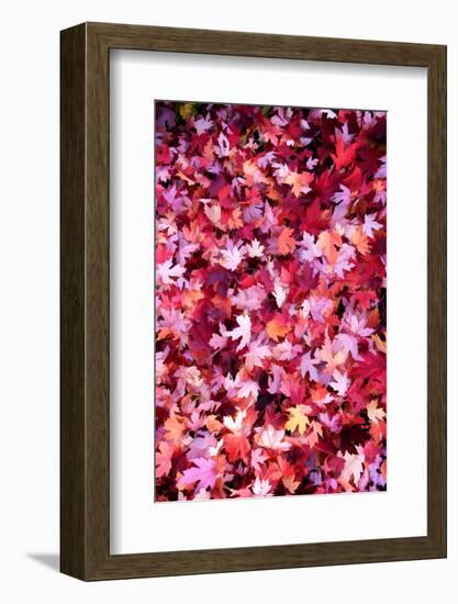 Autumn Road-Philippe Sainte-Laudy-Framed Photographic Print