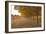 Autumn Rows-Lance Kuehne-Framed Photographic Print