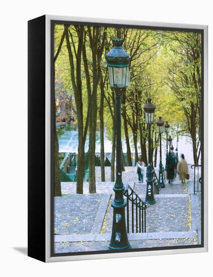 Autumn, Rue De Foyatier Steps to the Place Du Sacre Coeur, Montmartre, Paris, France-Walter Bibikow-Framed Premier Image Canvas