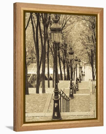 Autumn, Rue De Foyatier Steps to the Place Du Sacre Coeur, Montmartre, Paris, France-Walter Bibikow-Framed Premier Image Canvas