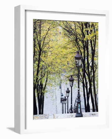 Autumn, Rue De Foyatier Steps to the Place Du Sacre Coeur, Montmartre, Paris, France-Walter Bibikow-Framed Photographic Print